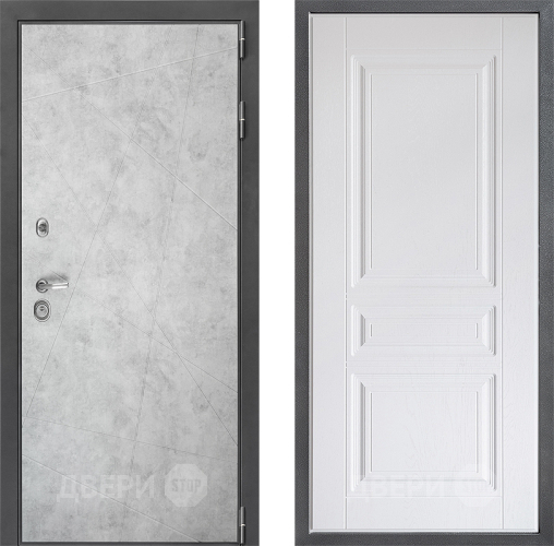 Входная металлическая Дверь Дверной континент ДК-3/743 ФЛ-243 Альберо Браш серебро в Пушкино