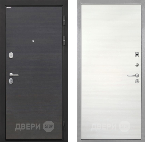 Входная металлическая Дверь Интекрон (INTECRON) Гектор Эковенге Гладкая Дуб сильвер поперечный в Пушкино