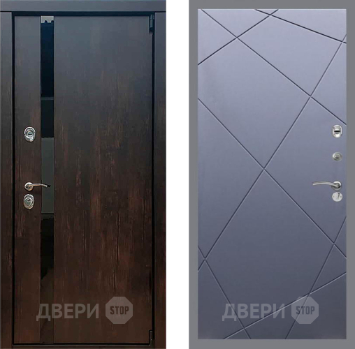 Входная металлическая Дверь Рекс (REX) 26 FL-291 Силк титан в Пушкино